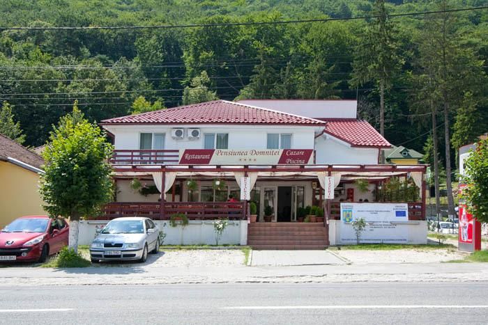 Отель Hotel Domnitei Кэлимэнешти-5