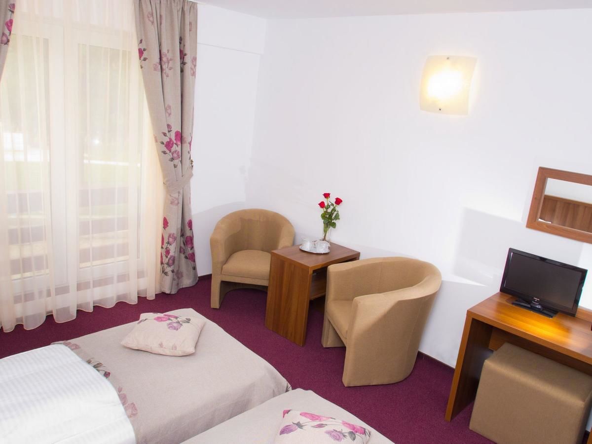Отель Hotel Domnitei Кэлимэнешти-36