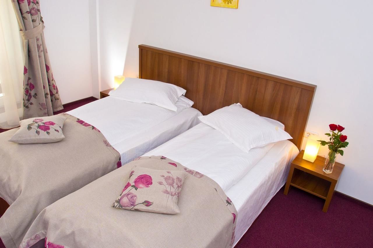 Отель Hotel Domnitei Кэлимэнешти-44