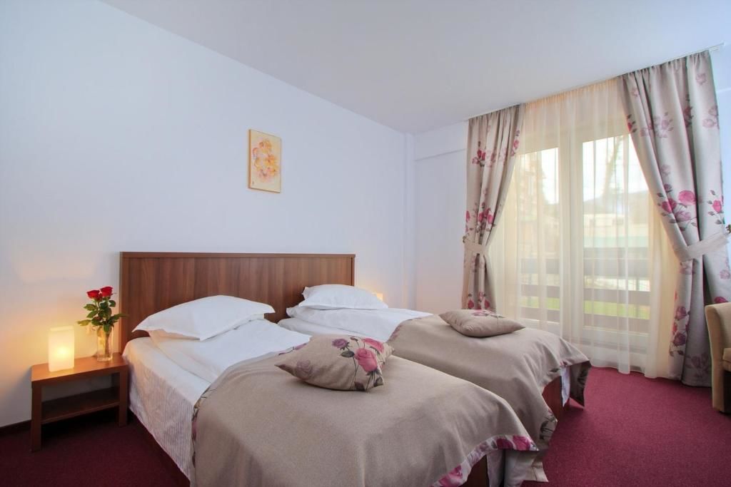 Отель Hotel Domnitei Кэлимэнешти-49