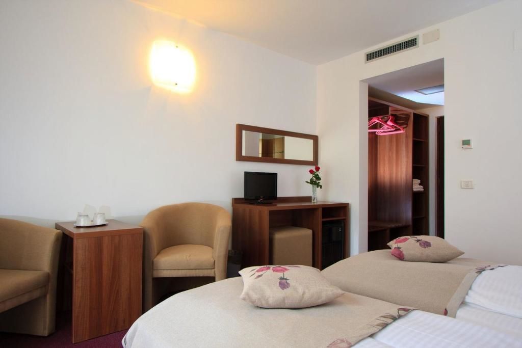 Отель Hotel Domnitei Кэлимэнешти-54